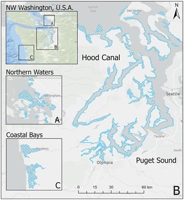 Nested Spatial and Temporal Modeling of Environmental Conditions Associated With Genetic Markers of Vibrio parahaemolyticus in Washington State Pacific Oysters